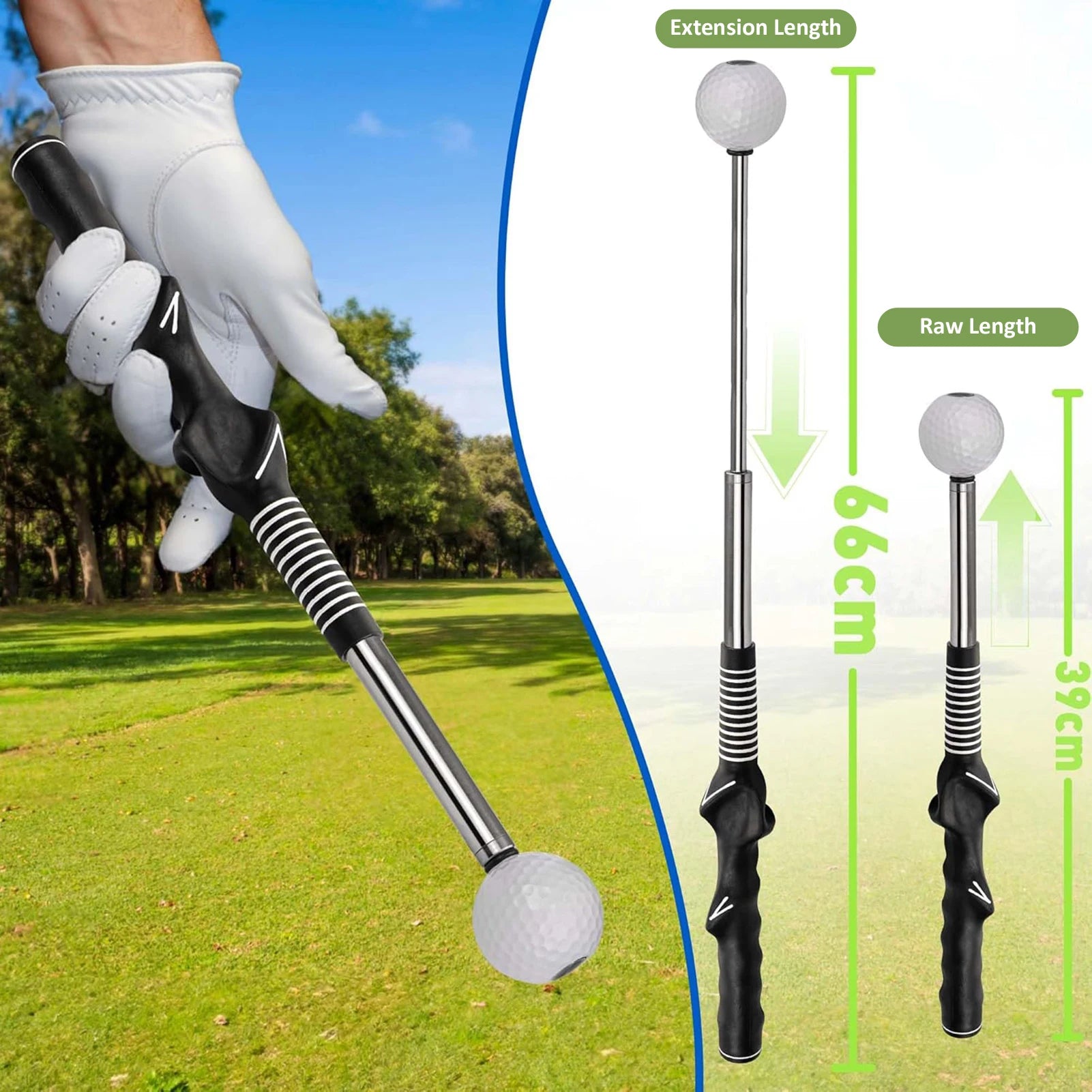 Professional Golf Swing Trainer